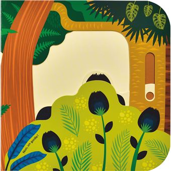Cache-cache dans la jungle !