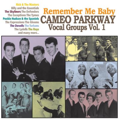 Remember me baby cameo parkway vocals group vol 1