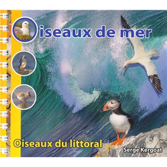 Oiseaux de mer