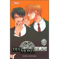 Diamond head