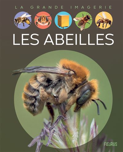 Les Abeilles Cartonne Sabine Boccador Achat Livre Fnac