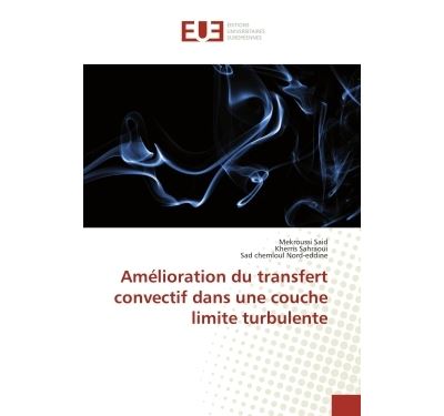 Amelioration du transfert convectif dans une couche limite t