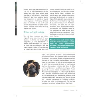 L´arrivée du chiot