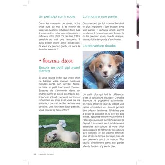 L´arrivée du chiot