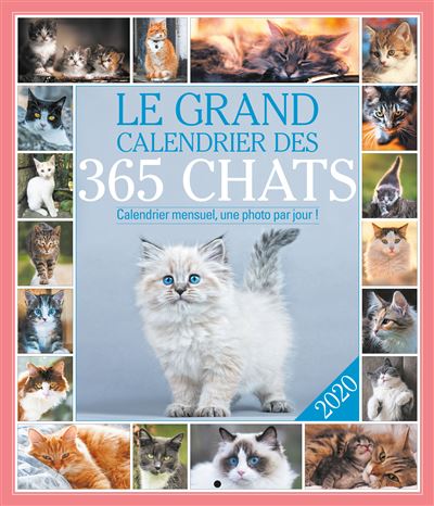 Le grand Calendrier des 365 chats 2020