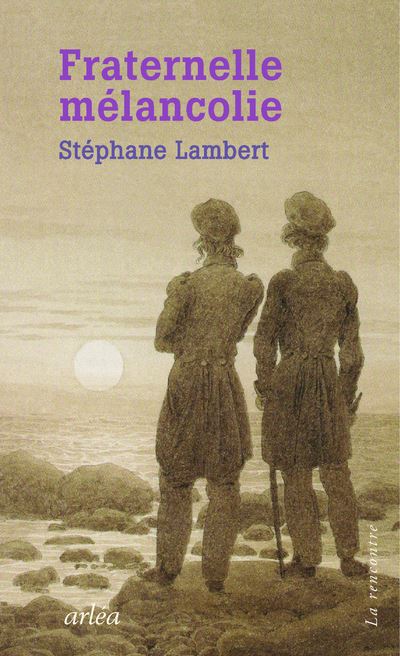 Une fraternelle mélancolie : Melville-Hawthorne