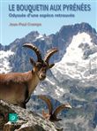 Bouquetin aux Pyrénées