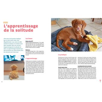 Rendre son chiot heureux