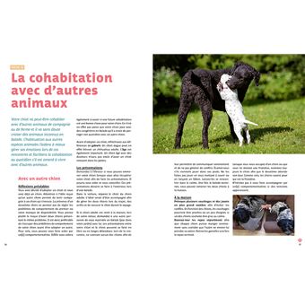 Rendre son chiot heureux