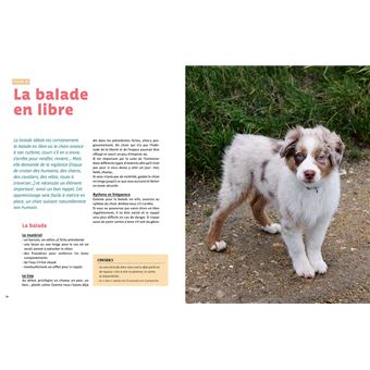 Rendre son chiot heureux