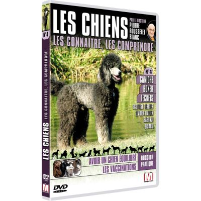 Les Chiens : Les connaître, les comprendre Volume 4 DVD