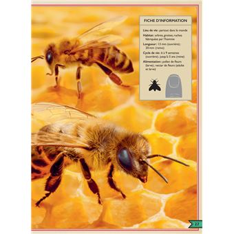 Le Livre extraordinaire des insectes et araignées