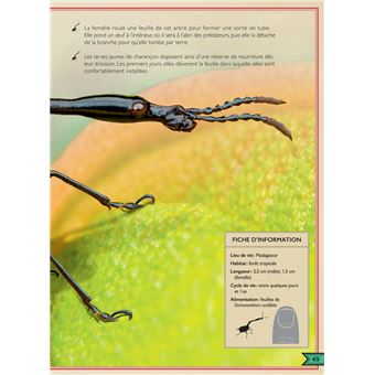 Le Livre extraordinaire des insectes et araignées