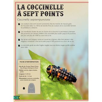 Le Livre extraordinaire des insectes et araignées