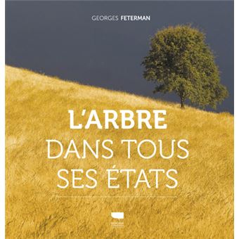 Arbre dans tous ses états