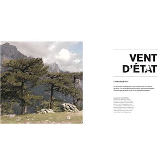 Arbre dans tous ses états