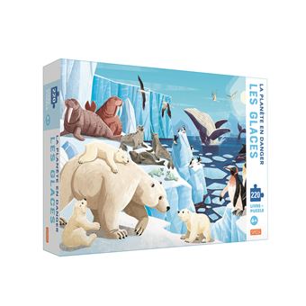La planète en danger - Les glaces