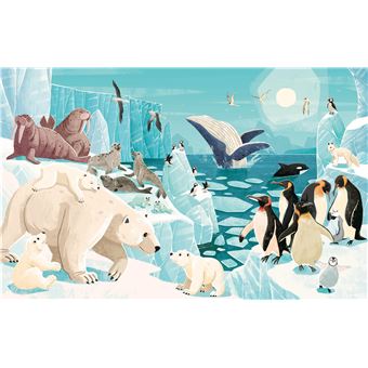 La planète en danger - Les glaces