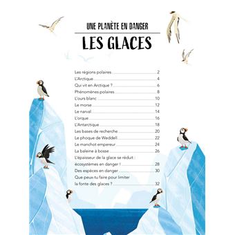 La planète en danger - Les glaces