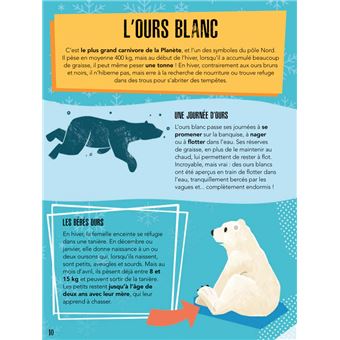 La planète en danger - Les glaces