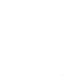 Reiki Usui 1er Degré - Shoden, enseignement pour les débutants
