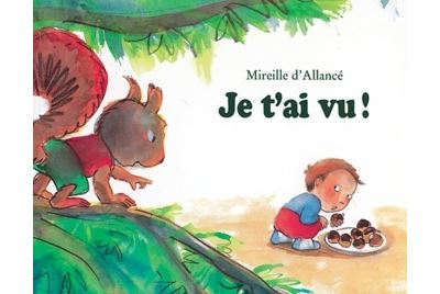 Je t ai vu - Mireille d' Allancé - broché