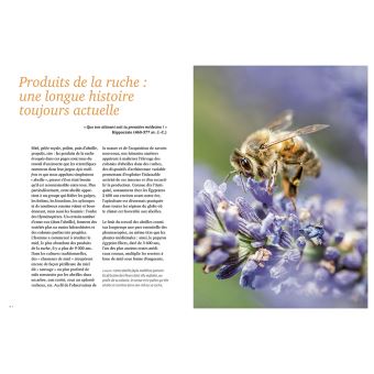 La santé par les abeilles - Bienfaits et limites de l'apithérapie
