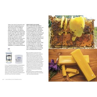La santé par les abeilles - Bienfaits et limites de l'apithérapie