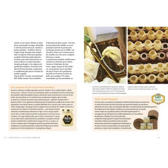 La santé par les abeilles - Bienfaits et limites de l'apithérapie