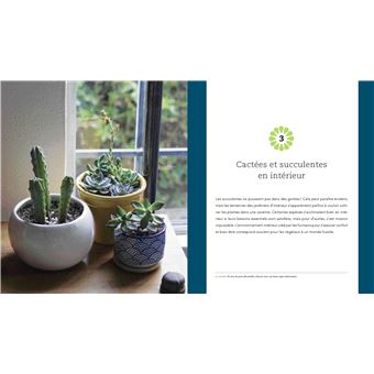 Fascinantes succulentes