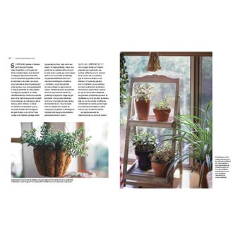 Fascinantes succulentes