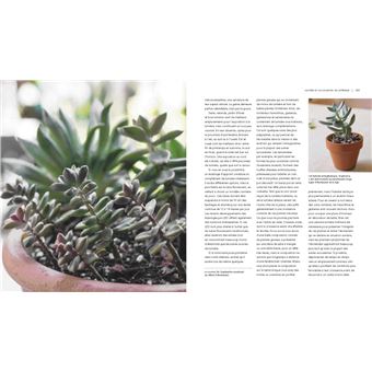 Fascinantes succulentes