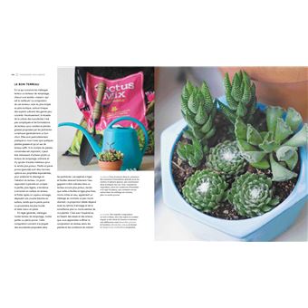 Fascinantes succulentes
