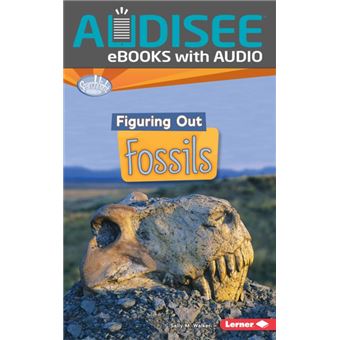 Figuring Out Fossils - 1