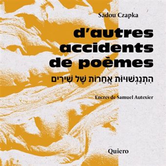 D'autres accidents de poèmes