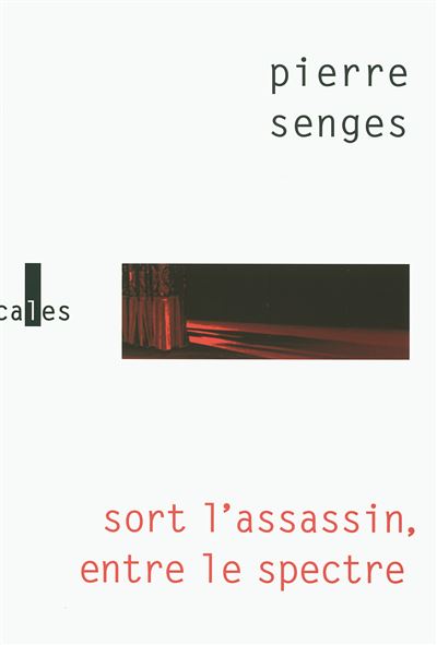 Sort l'assassin, entre le spectre - Pierre Senges - broché