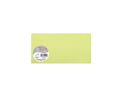 Pack de 25 cartes Pollen 106 x 213 mm Vert Bourgeon
