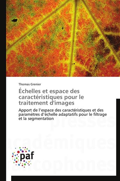 Échelles et espace des caractéristiques pour le traitement d'images