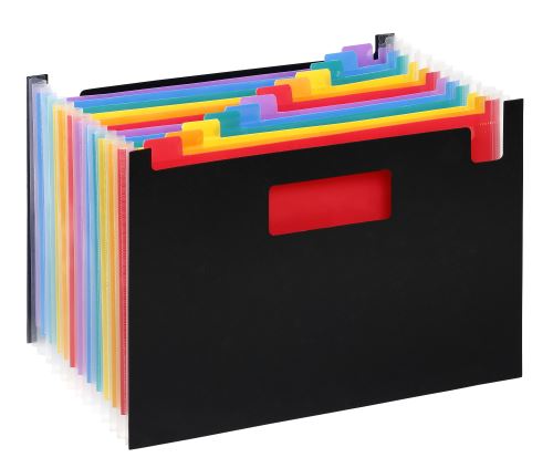 Trieur à 12 compartiments Viquel Rainbow Seatcase Noir