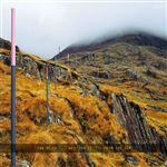 From the hip (4cd)