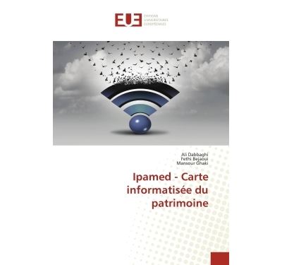 Ipamed, Carte informatisée du patrimoine
