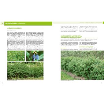 Encyclopédie des fruitiers sauvages ou méconnus - Pour le jardin & la haie fruitière