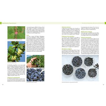 Encyclopédie des fruitiers sauvages ou méconnus - Pour le jardin & la haie fruitière