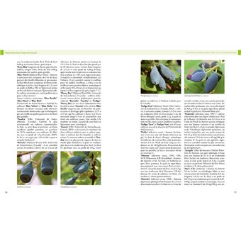 Encyclopédie des fruitiers sauvages ou méconnus - Pour le jardin & la haie fruitière