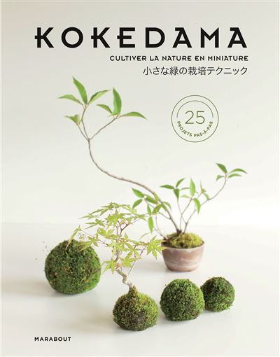 Kokedama