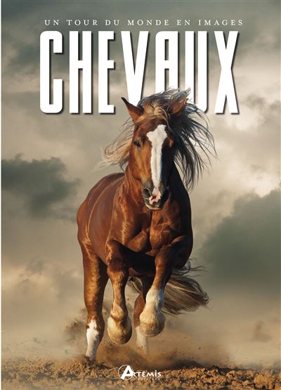 Chevaux, un tour du monde en images