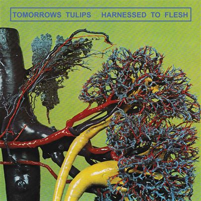 Harnessed to flesh/inclus un code de telechargement