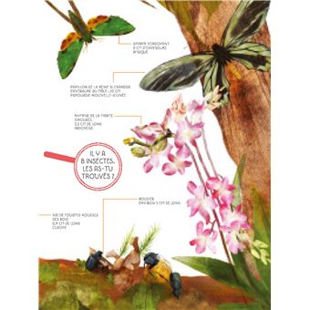 Insectes grandeur nature