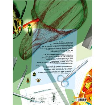 Insectes grandeur nature