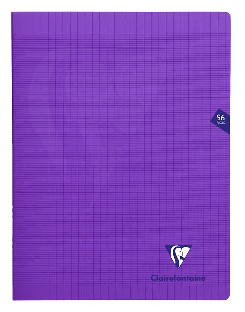 cahier-de-96-pages-s-y-s-clairefontaine-mimesys-24-x-32-cm-mod-le